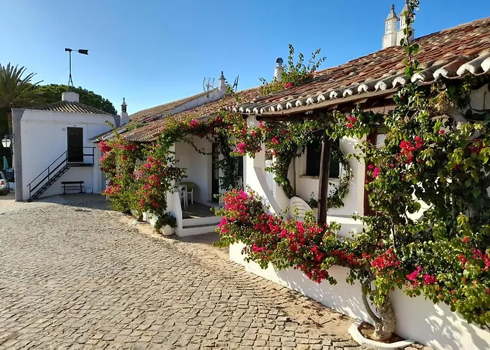 Villa Quinta Do Lagar - 09